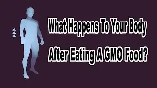 What Happens To Your Body After Eating A GMO Food? Questions And Answers