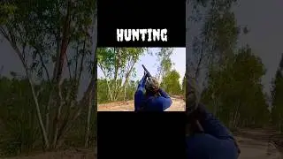Bird vs Prey &ndash; One Strike, Game Over 💀 #shortsfeed #asmr #trendingshorts
