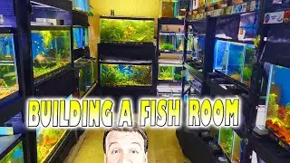 Building a Fish Room Racks, Plumbing and more!