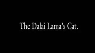 The Dalai Lama's Cat - Trailer