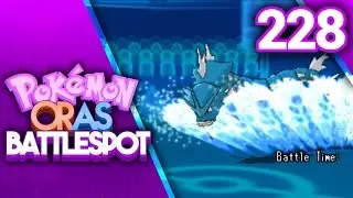 #228 
