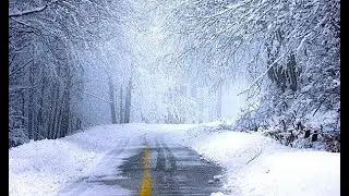 Green Energy Failed to Meet Demand During Winter Storm Elliott!