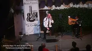 Antonio Haya 
