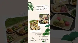 Eco Dining Made Easy &ndash; Palm Leaf Plates Like Bamboo, Direct from CA & NJ