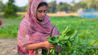 রাতে খাবার জন্য টাটকা পালং শাক তুললাম | Village Life Borna