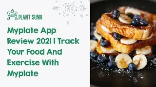 MyPlate App Review 2021 | Track Your Food And Exercise With MyPlate