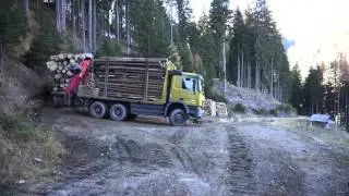 Holztransport durch 3 LKW