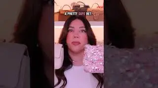 Surprising Capacity  Small Bag vs Mini Kelly!