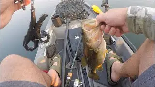 Kayak fishing on Lac Courte Oreilles, found a lot of bass!