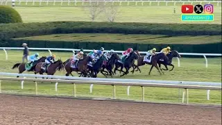 Stakes Record Broken in Competitive Edition of 2025 Valley View Stakes
