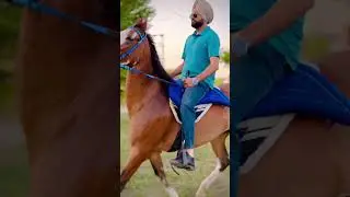 Horse Riding Apna Farm #horseriding #karanaujla #music #rap #remix