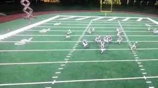 NCAA Football14 Glitch, Fastest nano
