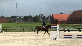 Casanova 130 Loenhout