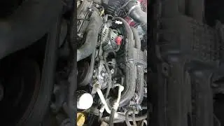 16 Crosstrek stk#50817
