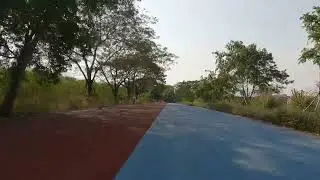 Ride along (Small ring)
