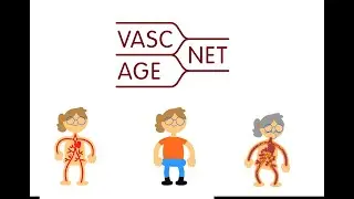 What is Vascular Ageing? Animation by VascAgeNet