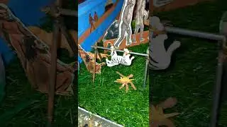 school project work | #trending #schoolproject  @afzakmalik4885 | early humans