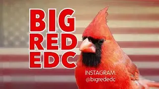 Розыгрыш призов от BigRed в воскресенье, 15 февраля!