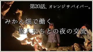 愛媛のみかん畑で働く２｜旅人とのクレイジーな夜の交流｜爆笑ハプニング映像｜真穴みかん｜愛媛県八幡浜市｜ニート古民家物語＃２０【地方移住・田舎暮らし】