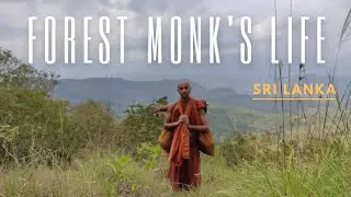 The Forest Monk's Life in Sri Lanka | 2021-10-05 | Bhante Joe