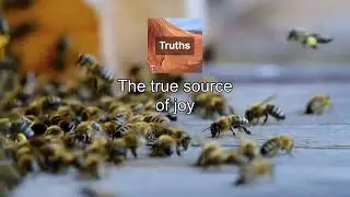 The true source of joy