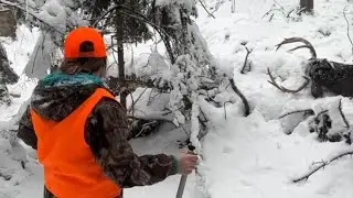 YOUNG HUNTER SHOOTS BIG BUCK - &ldquo;YOU&rsquo;RE GONNA MISS THIS&rdquo;