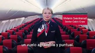 Hand Baggage (ES)