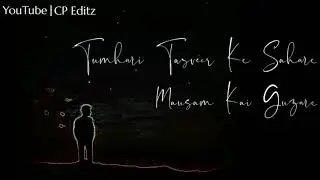 Tumhari Tasveer Ke Sahare | Lyrical Sad Love Status | P R I N C E