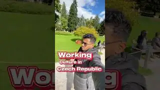Working culture in Czech Republic 🇨🇿#czechrepublicmallu #czechrepublic #malayalamlanguage #india
