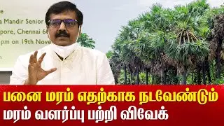 Actor Vivek plant a tree in Vidya Mandir Mylapore and explain how important is tree Green Kalam