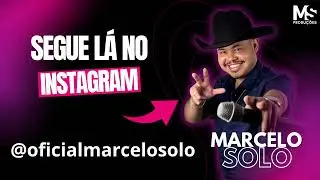 MARCELO SOLO - DIVULGAÇÃO