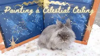 PAINTING A CELESTIAL CEILING (For my Rabbits?) | Woodshed Theory