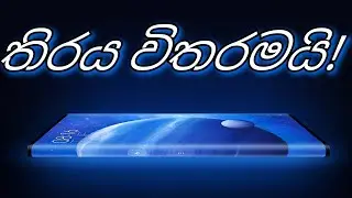 Xiaomi Mi Mix Alpha (තිරය විතරමයි)