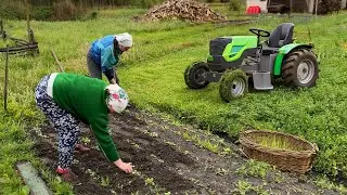 Тяжелая работа на полях и ужин из жареных цуккини: От поля до вилки