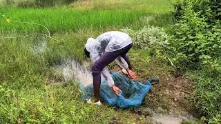 village fishing/small fish #village life style