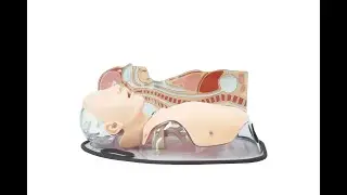 MW8 Tube Feeding Simulator(NG, OG and PEG)