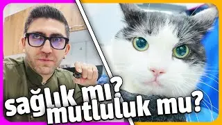 HER KEDİ SAHİBİ YAŞAYACAK 😔