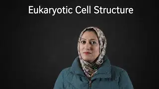 Eukaryotic Cell Structure | Tips & Tricks- class 11th Biology