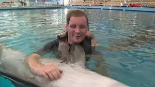 Kevin`s Delfin unterst&uuml;tzte Therapie bei my dolphins 2018