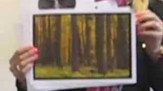 The Environmental Song