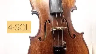 CORDAS DO VIOLINO: Para iniciantes #violinoemcasa #aulasdeviolino #violino