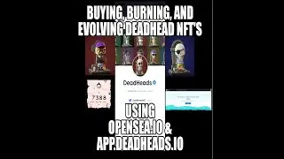 Using OPENSEA to Buy an NFT (DEADHEAD) and using Deadheads utility to Burn and Evolve into a vessel.