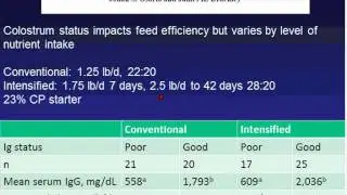 Back to Basics: Health & Economics of Accelerated Heifer Growth