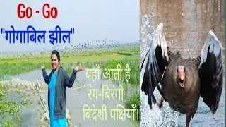 Go-Go- Gogabeel Jheel | गोगा - बिल 