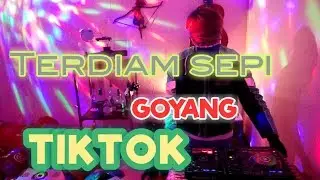 DJ TERDIAM SEPI [BREAKBEAT] || BABANG GREBBEK COVER