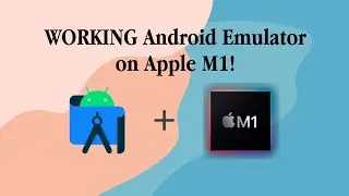Working with the Emulators  Using the Emulators