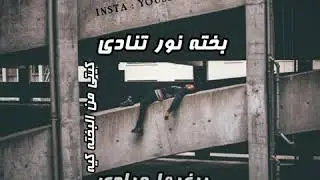 cheb khald - bakhetah -بخته / status whats app