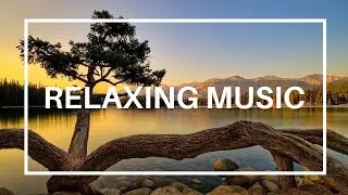 Lunar Serenity &ndash; Deep Sleep Meditation #CalmingMusic | Lotus Frequency