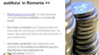 Realizarea unui audit in Romania
