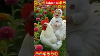 Adorable Baby on giant Rooster |  |  Rooster funny video#viral#funny#foryou#shorts#rooster#baby#ai